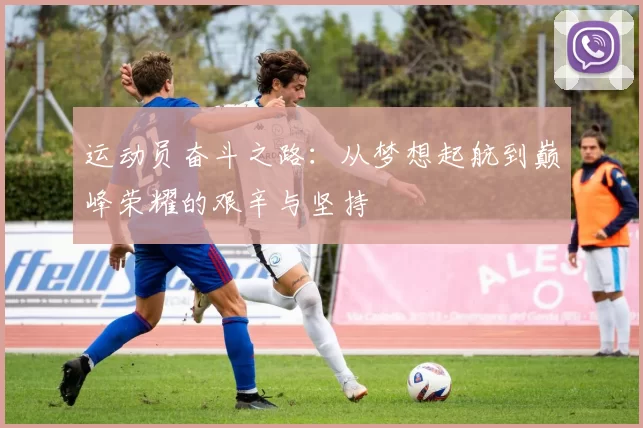 运动员奋斗之路：从梦想起航到巅峰荣耀的艰辛与坚持