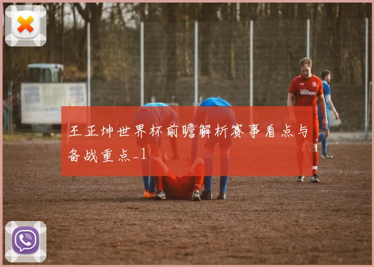 王正坤世界杯前瞻解析赛事看点与备战重点_1