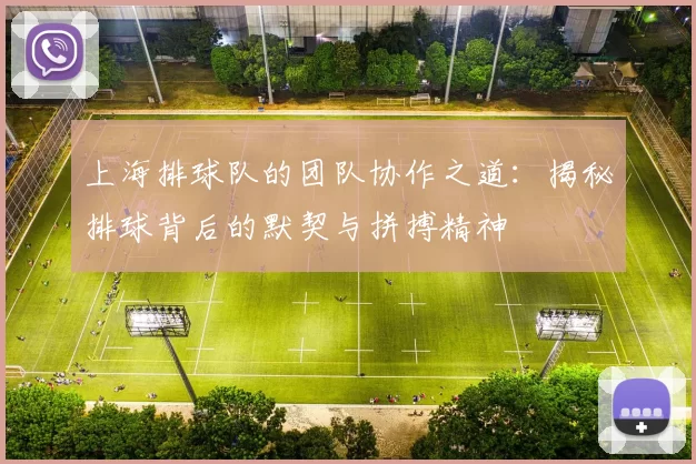 上海排球队的团队协作之道：揭秘排球背后的默契与拼搏精神