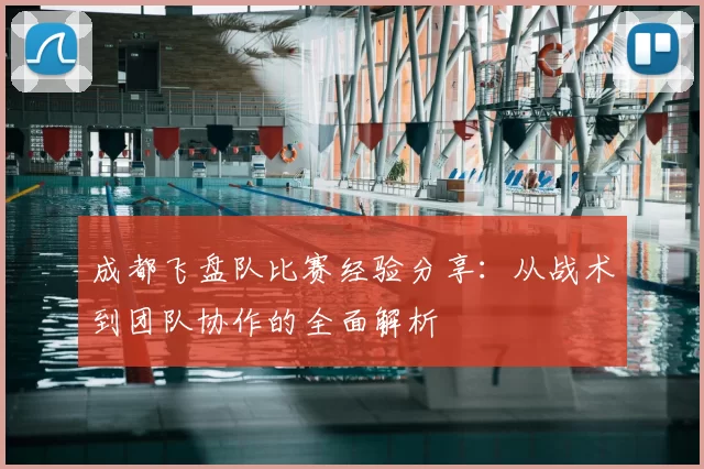 成都飞盘队比赛经验分享：从战术到团队协作的全面解析
