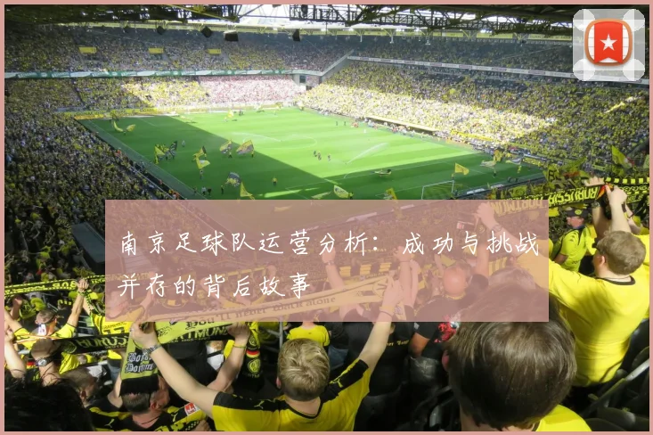 南京足球队运营分析:成功与挑战并存的背后故事