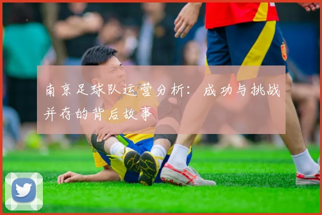 南京足球队运营分析:成功与挑战并存的背后故事
