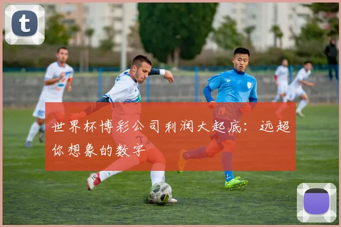 世界杯博彩公司利润大起底:远超你想象的数字