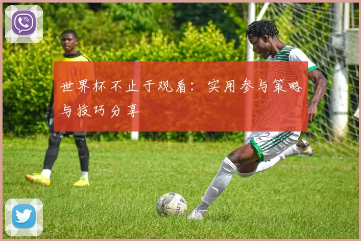 世界杯不止于观看:实用参与策略与技巧分享