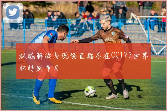 权威解读与现场直播尽在CCTV5世界杯特别节目