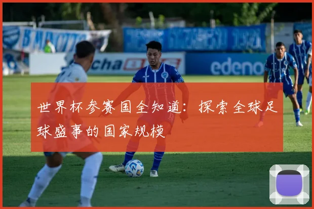 世界杯参赛国全知道：探索全球足球盛事的国家规模