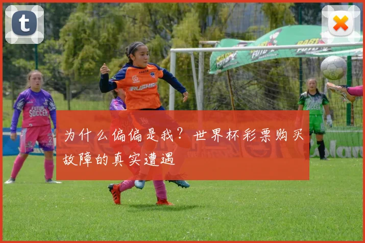 为什么偏偏是我?世界杯彩票购买故障的真实遭遇