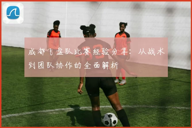 成都飞盘队比赛经验分享：从战术到团队协作的全面解析