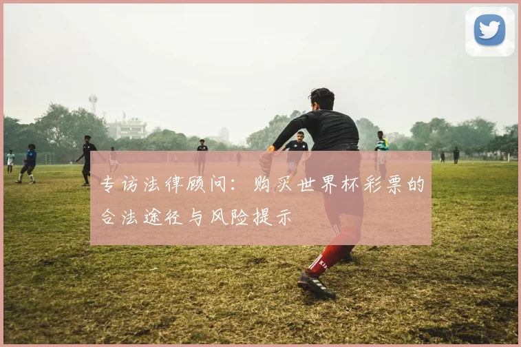 专访法律顾问:购买世界杯彩票的合法途径与风险提示