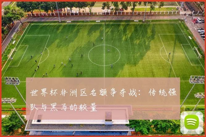 世界杯非洲区名额争夺战:传统强队与黑马的较量