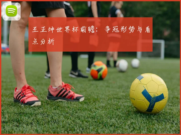 王正坤世界杯前瞻:争冠形势与看点分析