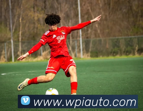 App Interface Preview